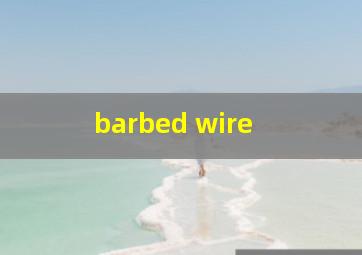  barbed wire